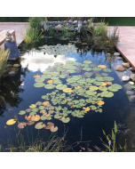 Cursus Vijveronderhoud - particuliere cursus