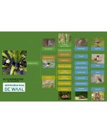 Mini krabbenscheer (jonge scheertjes) 1 plus 1 gratis