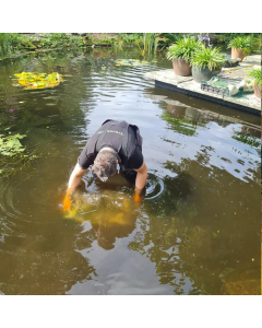 Aanplantservice
