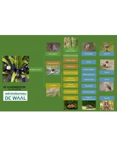 Mini krabbenscheer (jonge scheertjes) 1 plus 1 gratis